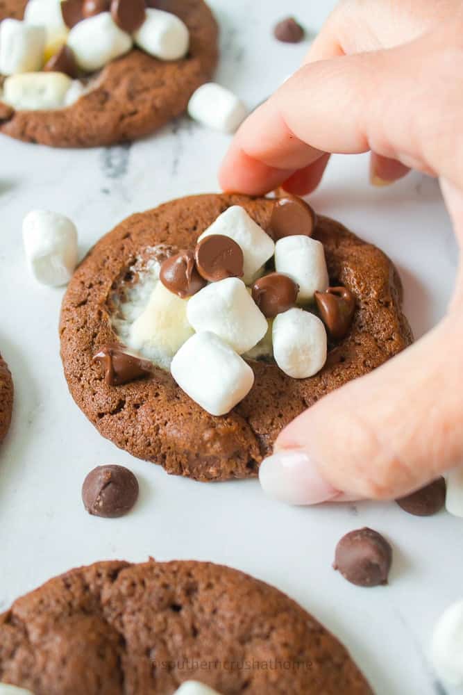 picking up a hot cocoa cookie