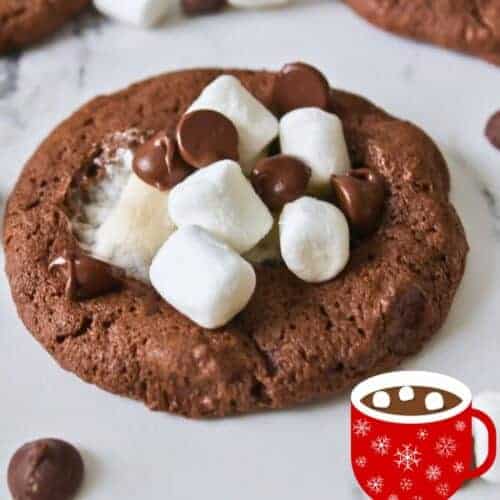 Hot Cocoa Cookies PIN