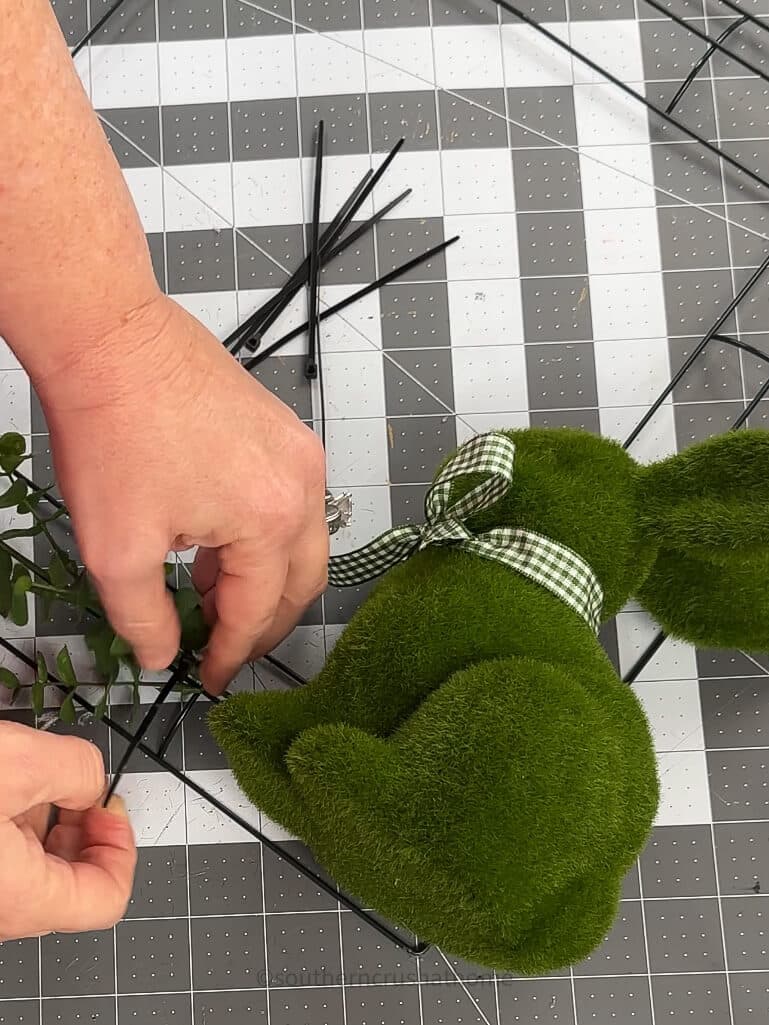 securing boxwood greenery with ziptie to wreath form