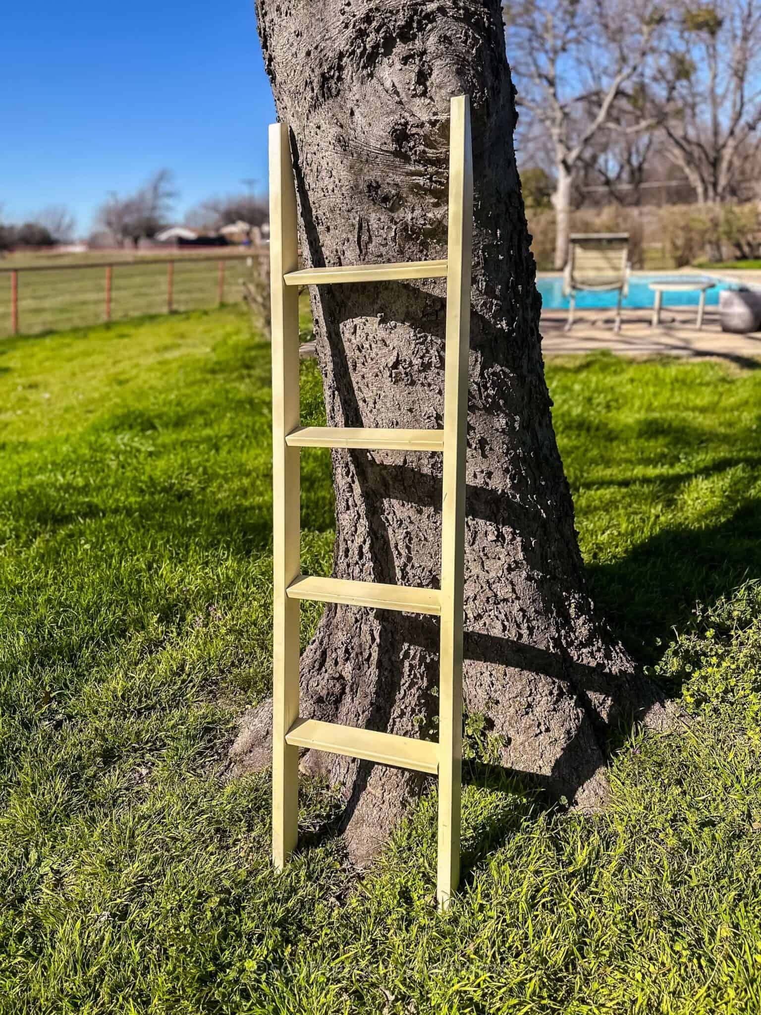 blanket ladder cream before picture leaning on a tree