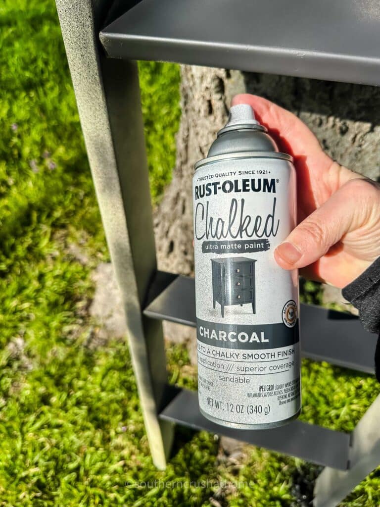 RustOleum spray paint on ladder