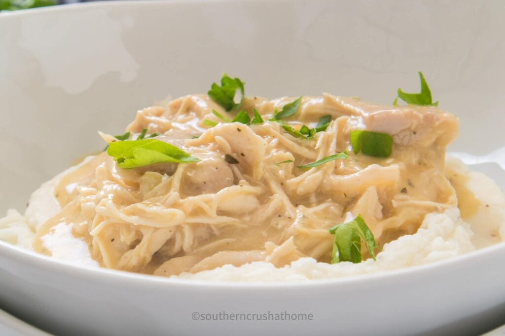 Chicken and Gravy Dinner over mashed potatoes close up