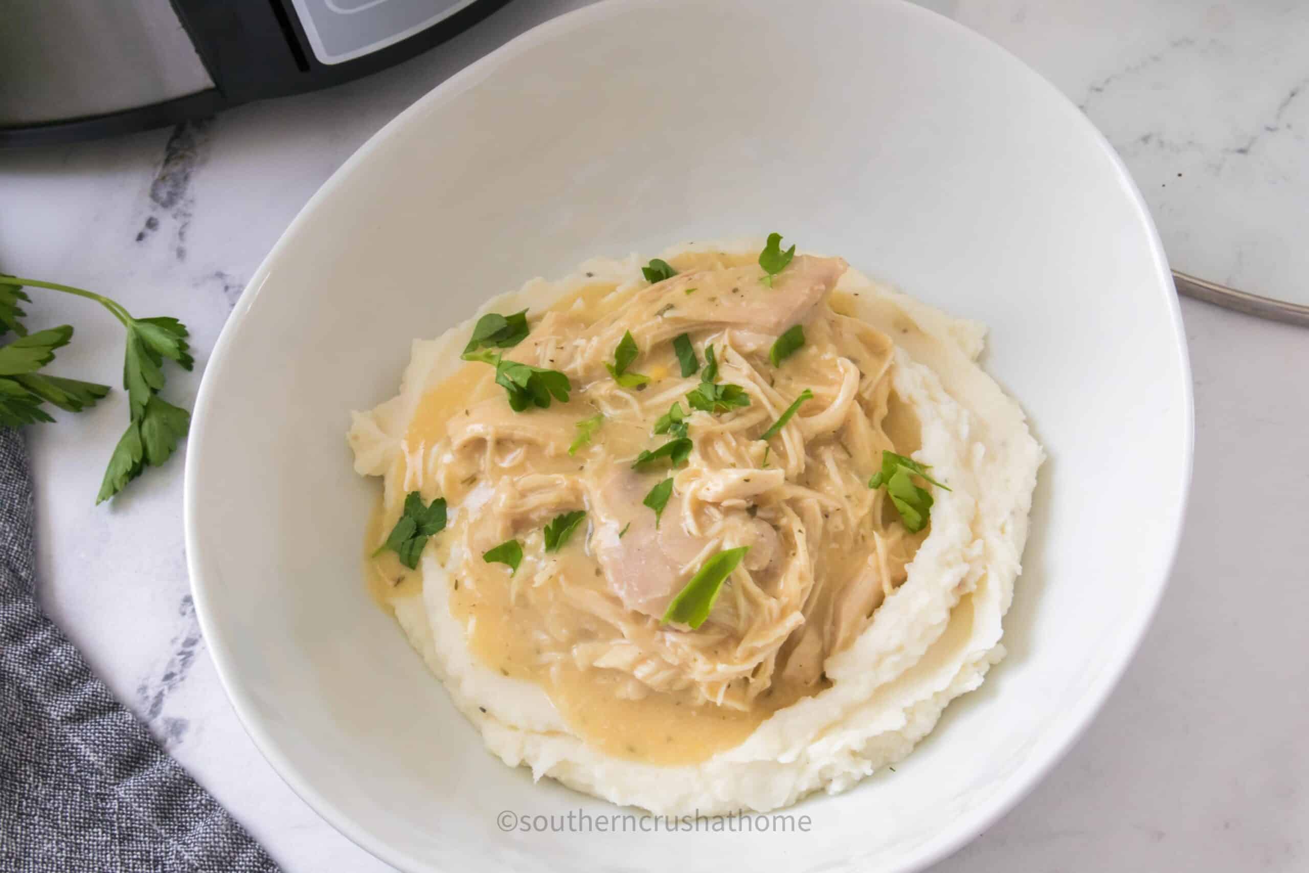 Chicken and Gravy Dinner served in bowl