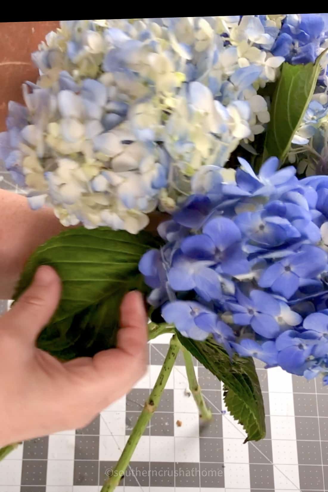 arranging leaves for a bouquet