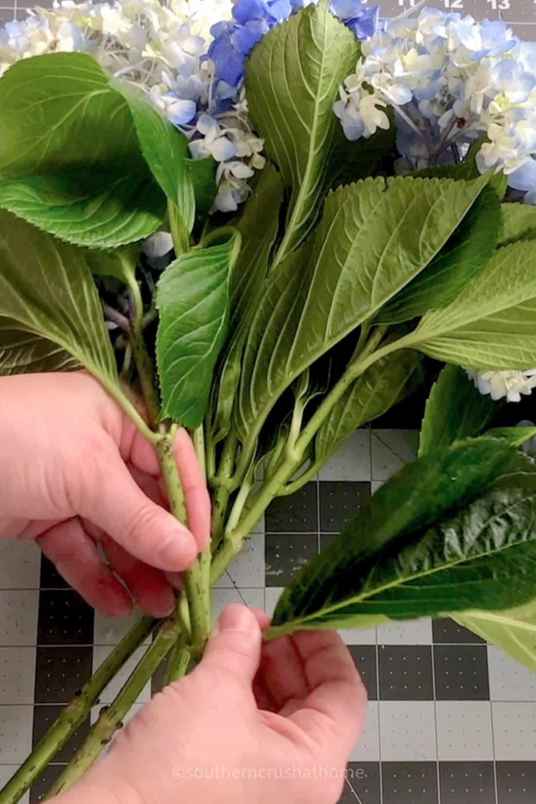 removing leaves from stems