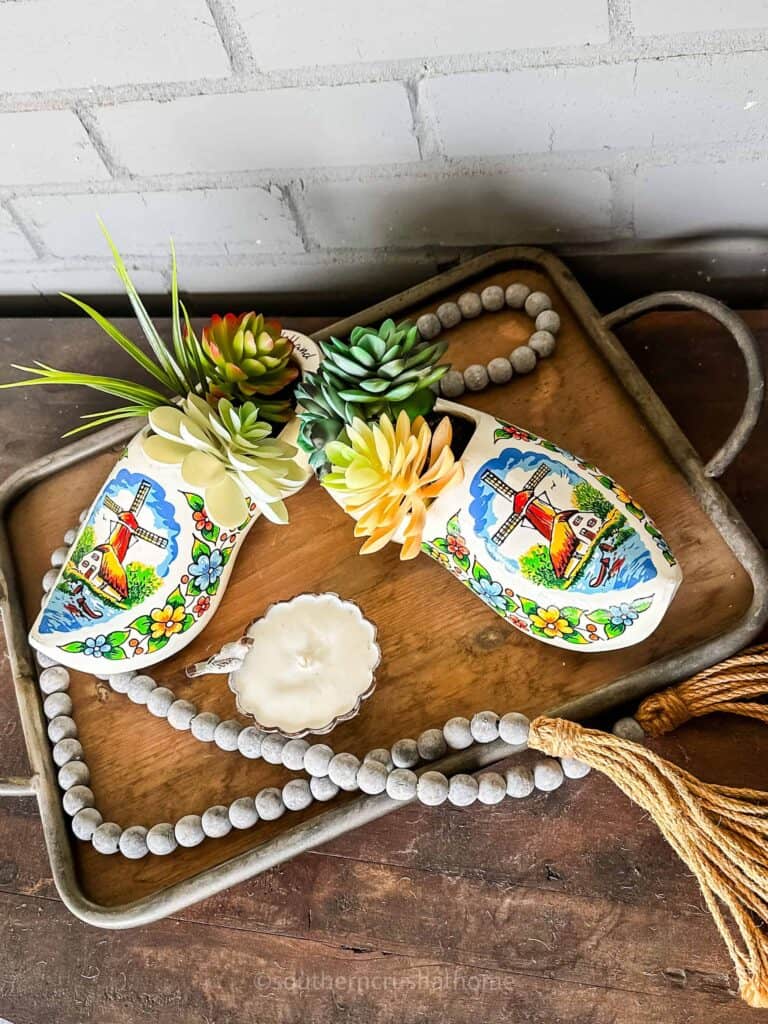 overhead view of clogs with succulents