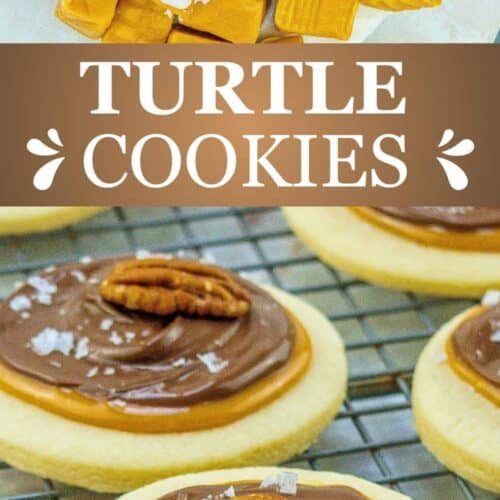 Turtle Cookies PIN