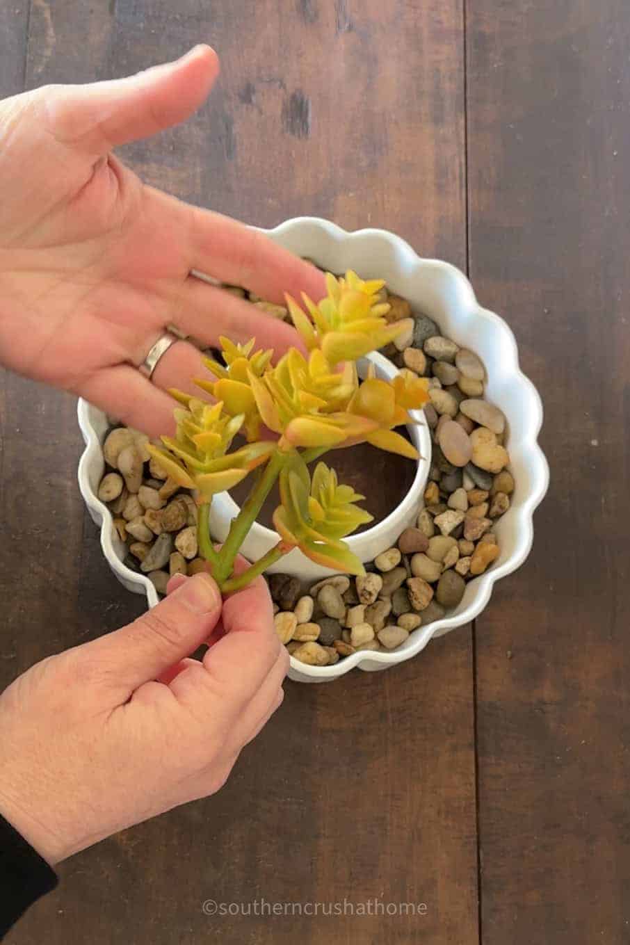 faux succulent