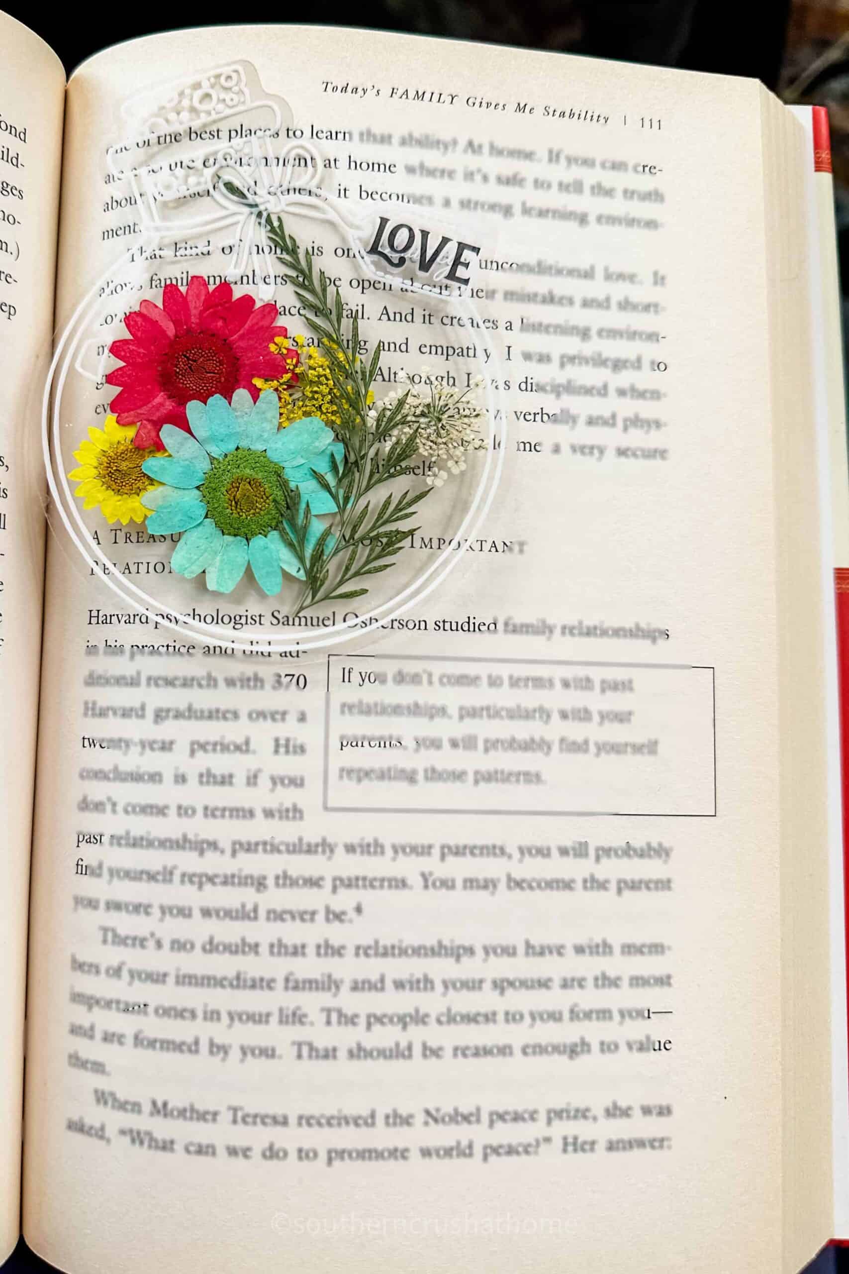 love bottle dried flower diy craft