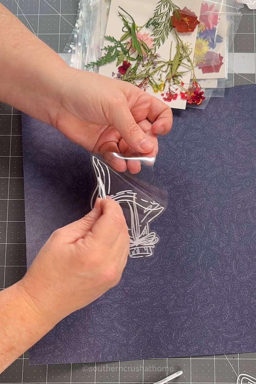 peeling apart sticker