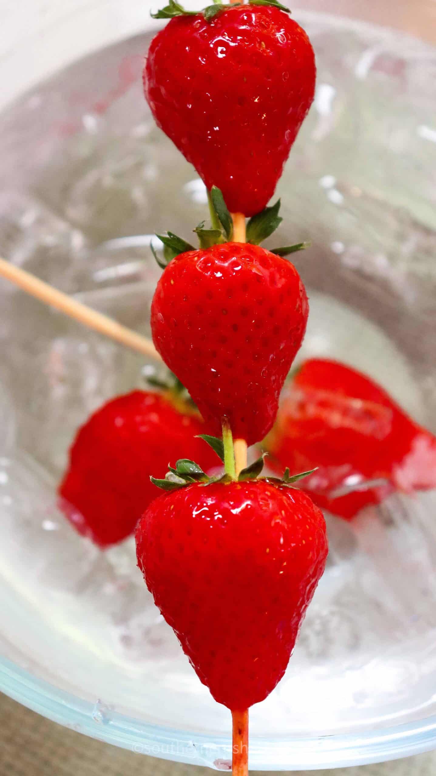 coated strawberries after dipped in ice water bath