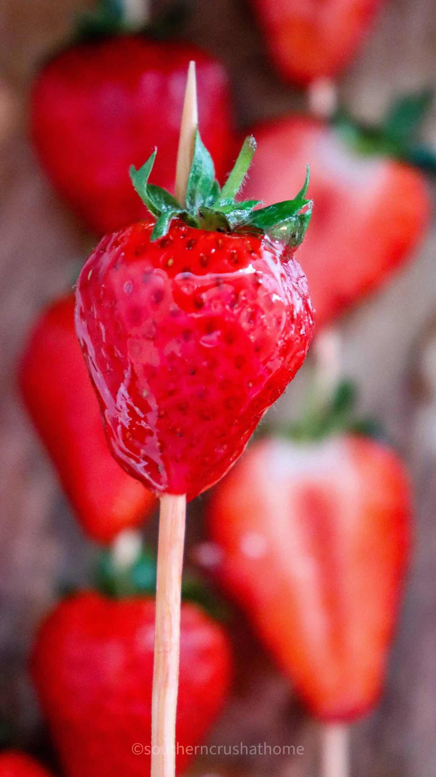 dipped strawberry