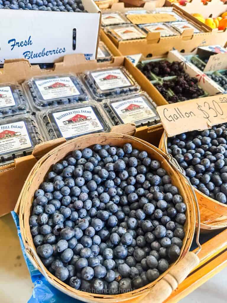 fresh blueberries