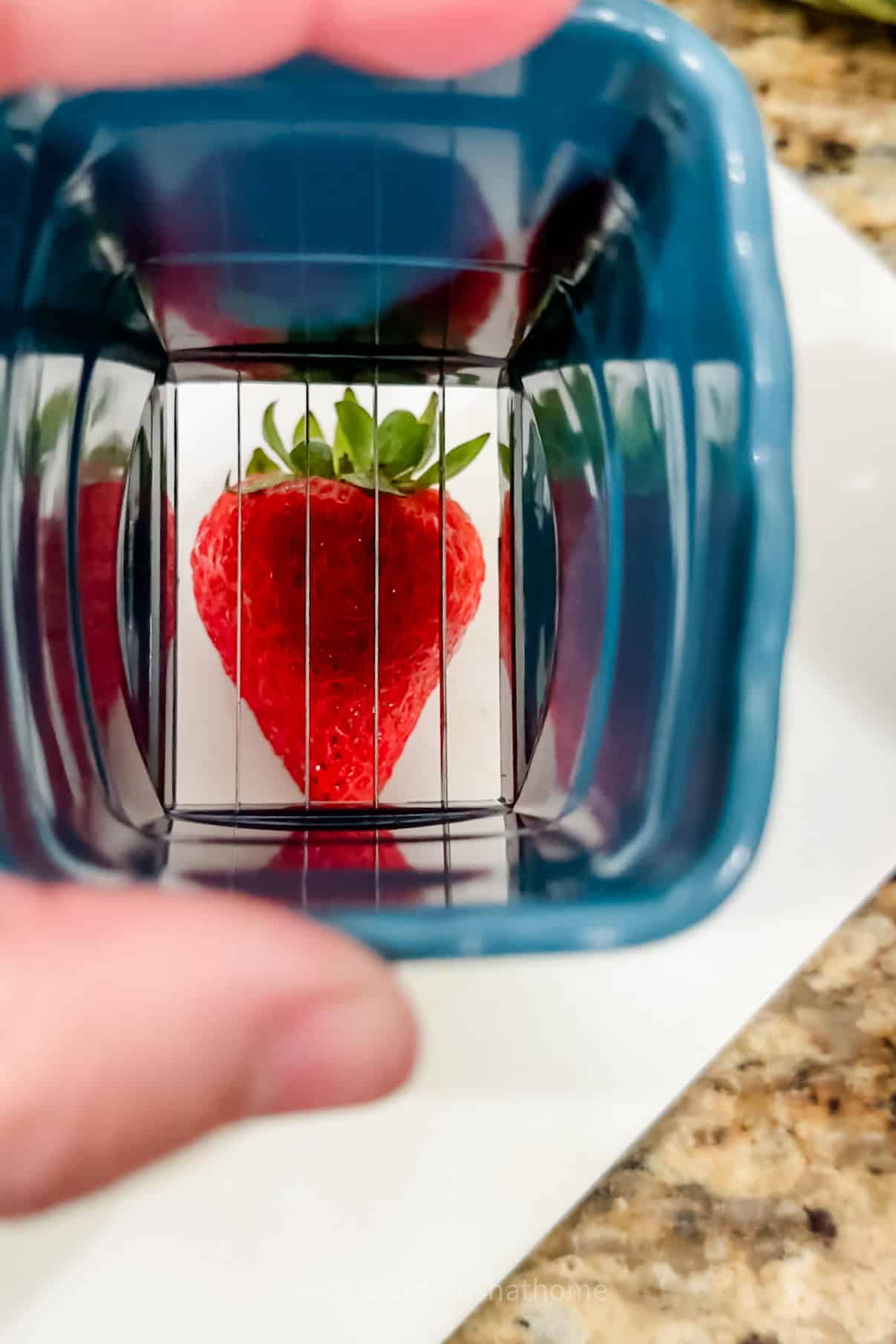 fruit slicer