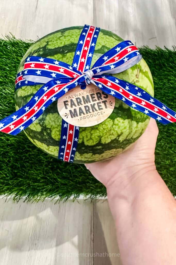 feeling the weight of the mini watermelon for ripeness