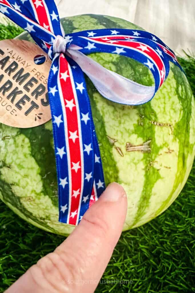 web markings on the watermelon rind indicating sweetness