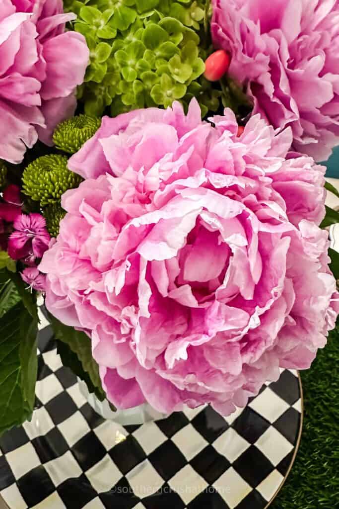 large pink peony flower