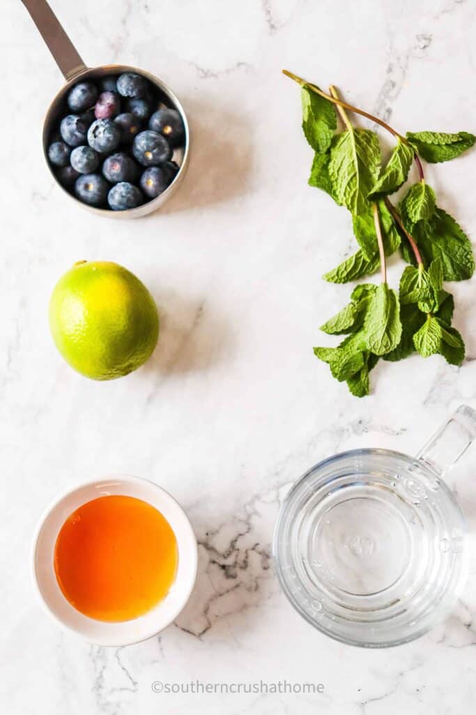 blueberry mint mocktail ingredients