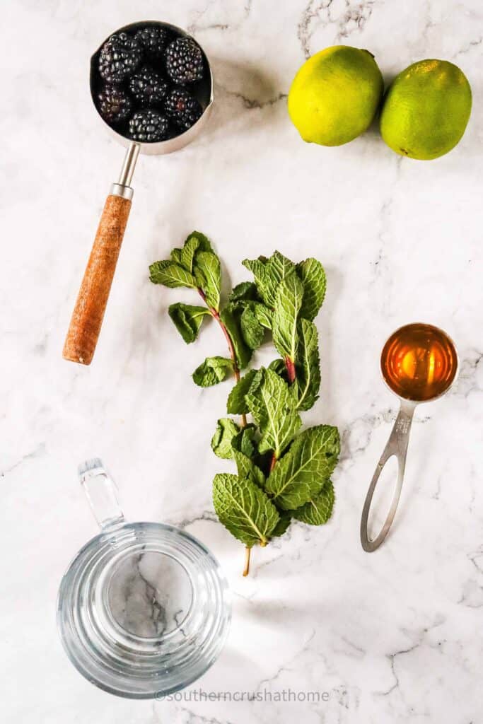 blackberry mint mocktail ingredients
