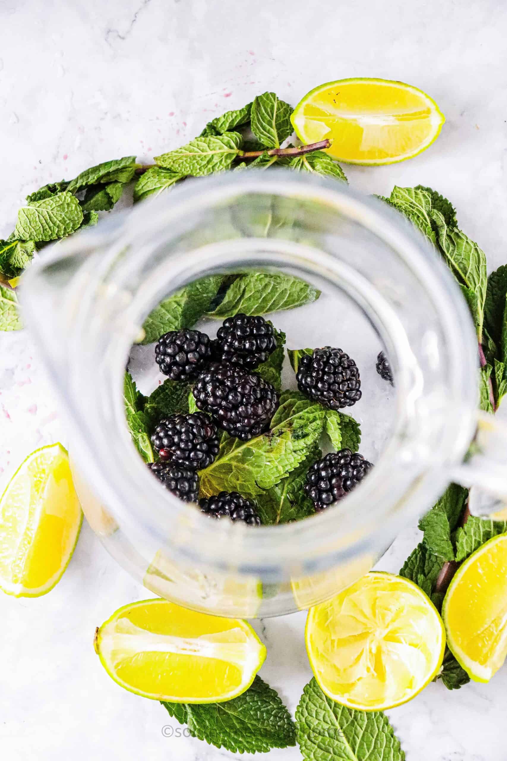 blackberry mint mocktail ingredients in pitcher