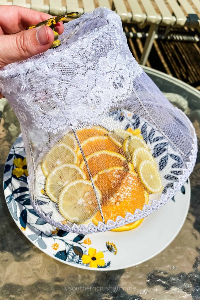 lifting lampshade food cover off platter