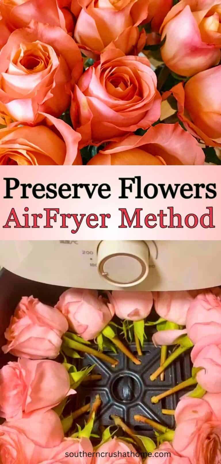 How to Preserve Flowers: Easy Air Fryer Method + 9 Ways to Display Them ...