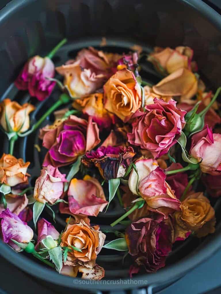 How to Preserve Flowers: Easy Air Fryer Method + 9 Ways to Display Them ...