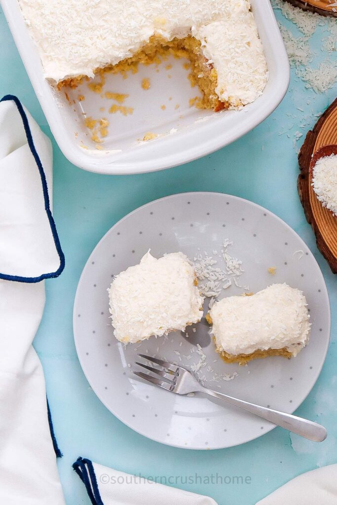 Coconut Cake Slices