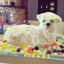 Lamb Cake Fails