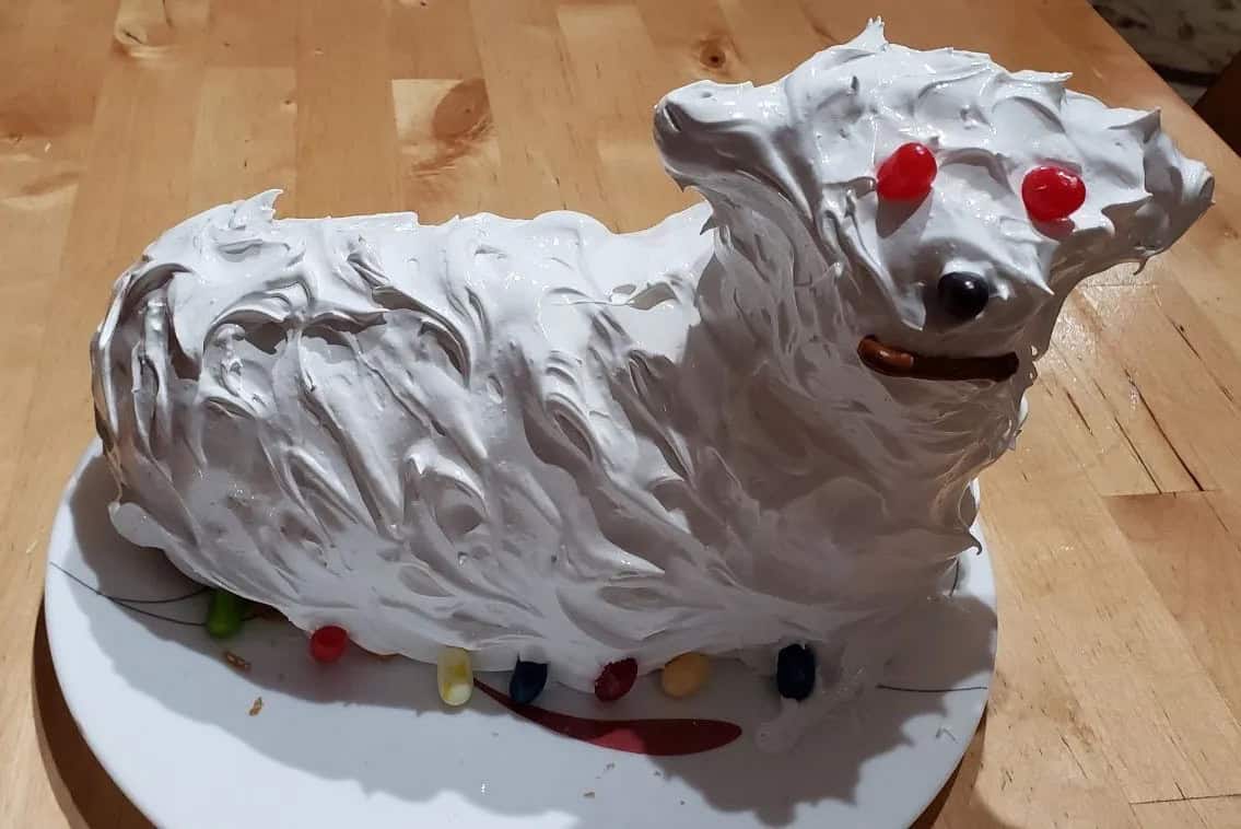 Lamb Cake Fails