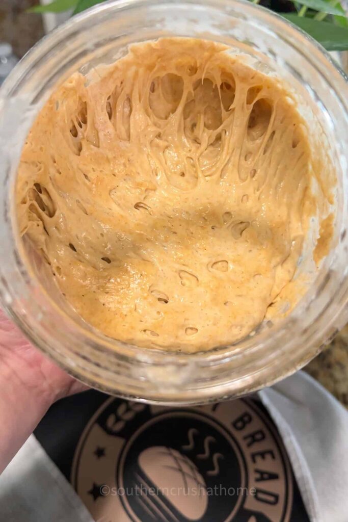einkorn sourdough starter