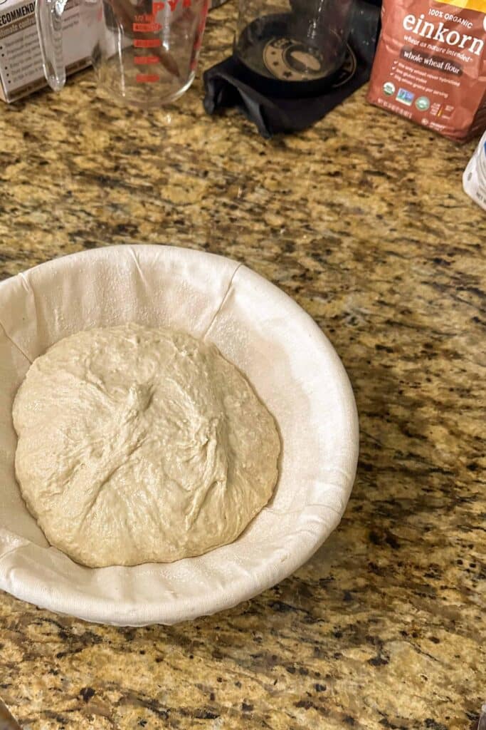 einkorn sourdough in proofing basket