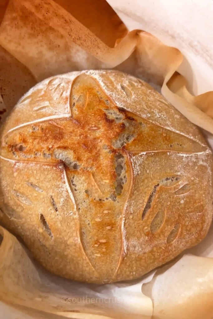 baked einkorn sourdough loaf in dutch oven
