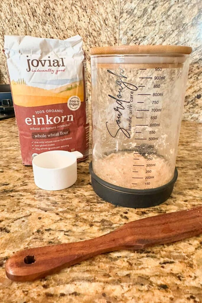 einkorn sourdough starter