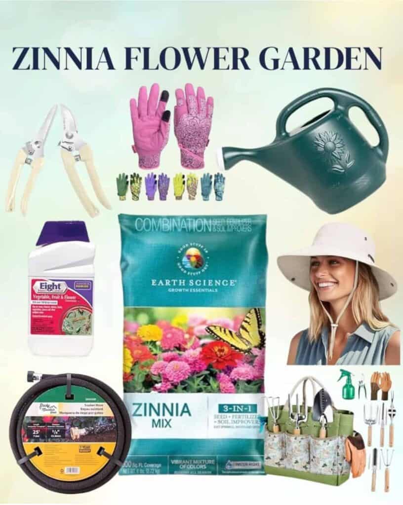 Zinnia Flower Supplies