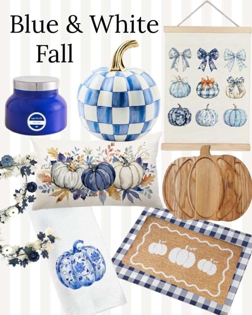 Blue & White Fall Amazon