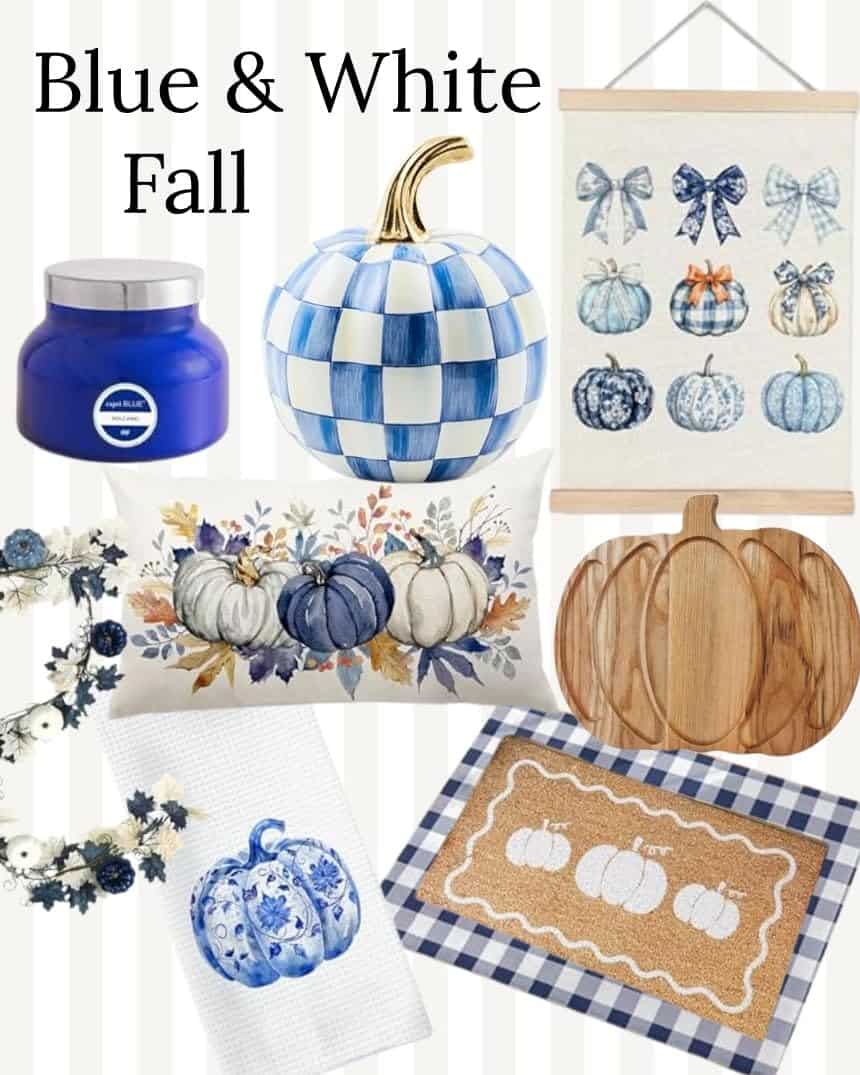 Blue & White Fall Amazon