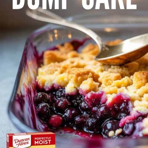 Blueberry Dump Cake