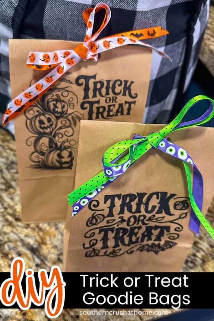 DIY Trick or Treat Goodie Bags PIN