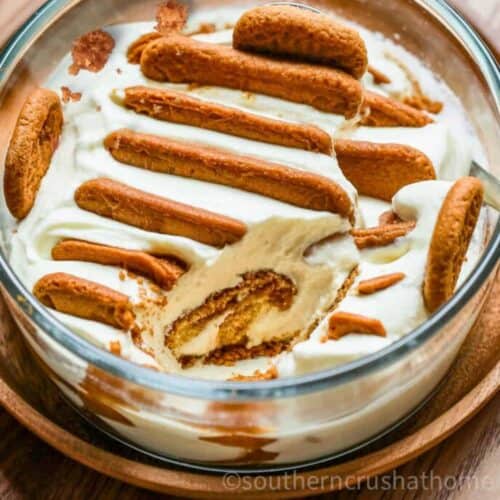 Biscoff Japanese Cheesecake Greek Yogurt