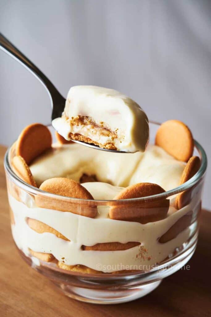 banana Japanese Cheesecake Greek Yogurt