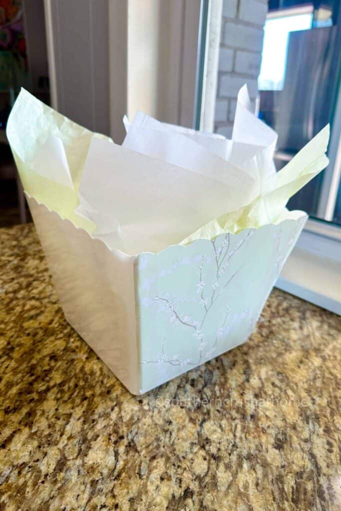 popcorn bucket eater basket