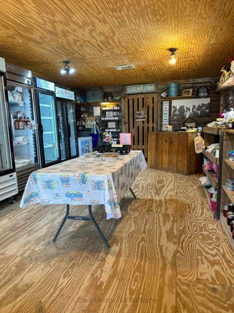 inside view of Circle N Dairy store