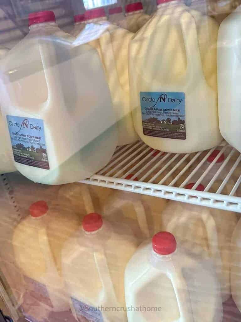 fresh raw milk at Circle N Dairy