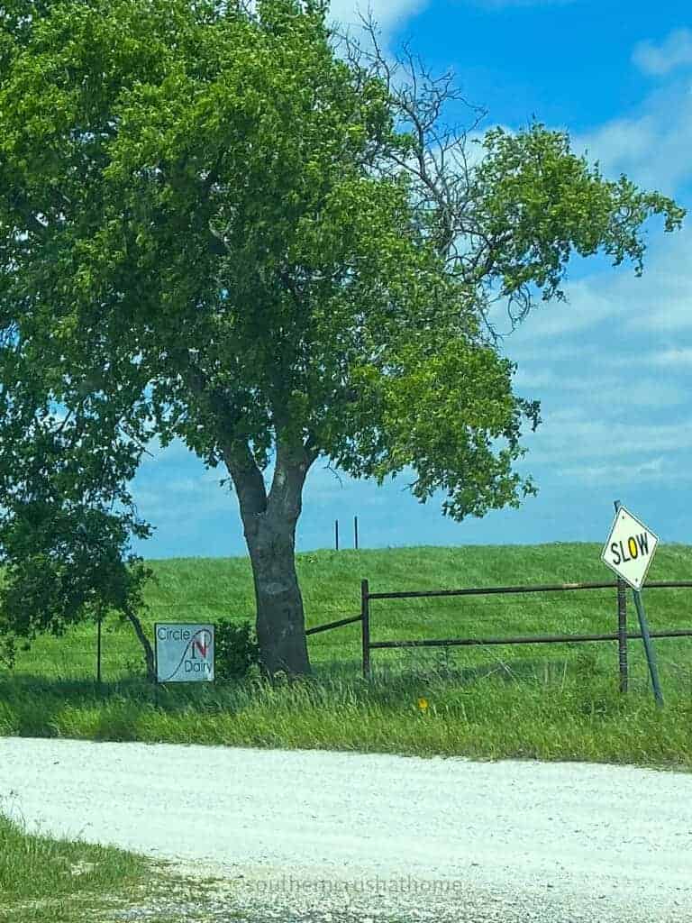 entrance to Circle N Dairy