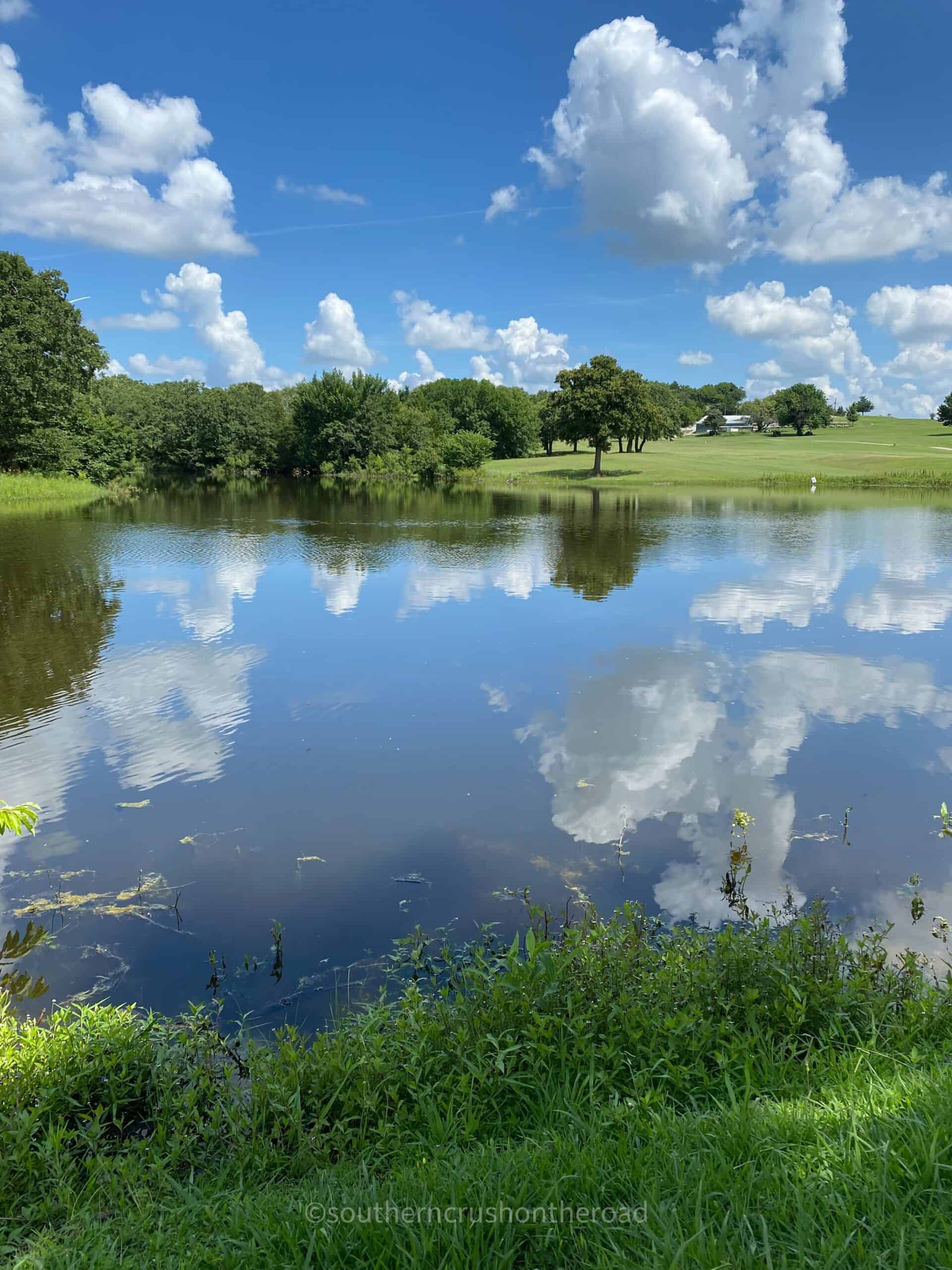 turtle hill golf course water feature