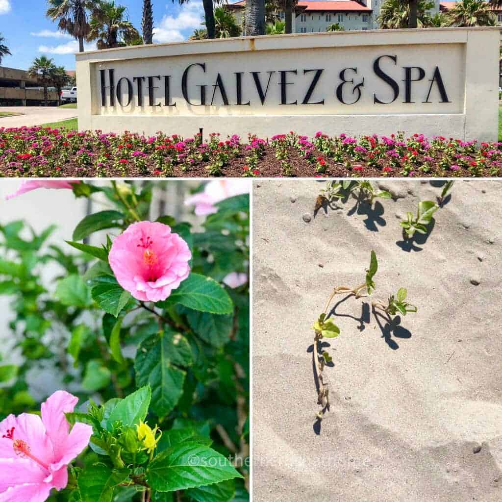 original hotel galvez sign