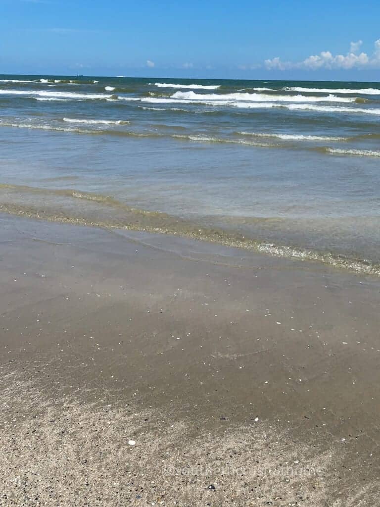 galveston beach