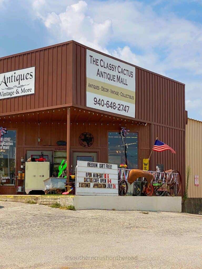 front of classy cactus